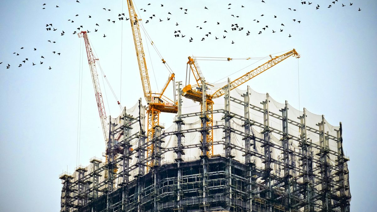 The upper floors of a steel-framed high-rise under construction, wrapped in white safety netting, with three tower cranes above it and a flock of birds crossing a pale sky.